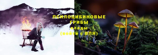 стафф Богданович