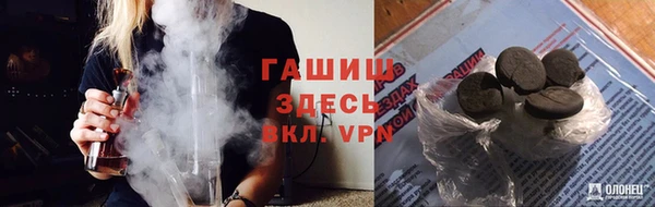 стафф Богданович