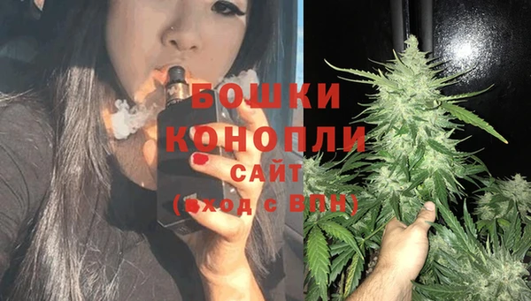 тгк Богородицк