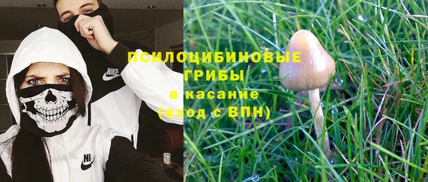 стафф Богданович