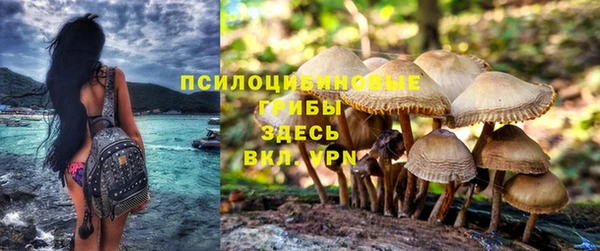 хмурый Богородск
