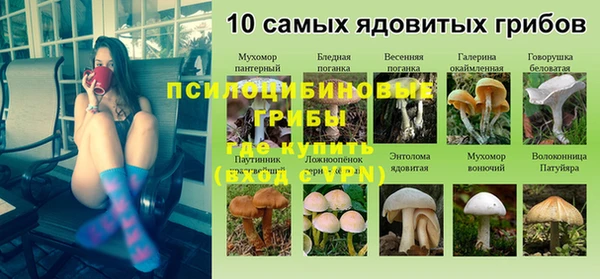 тгк Богородицк