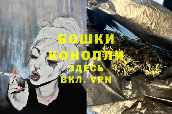 тгк Богородицк