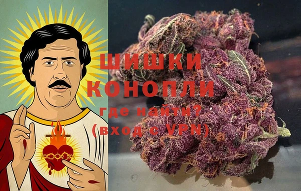 тгк Богородицк