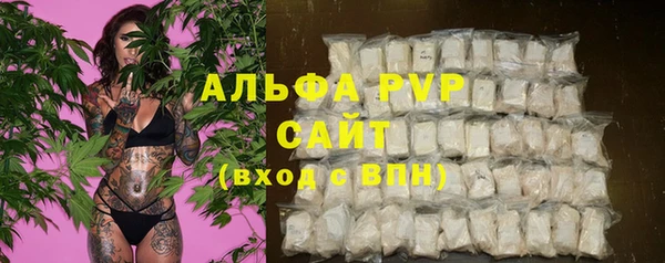 тгк Богородицк