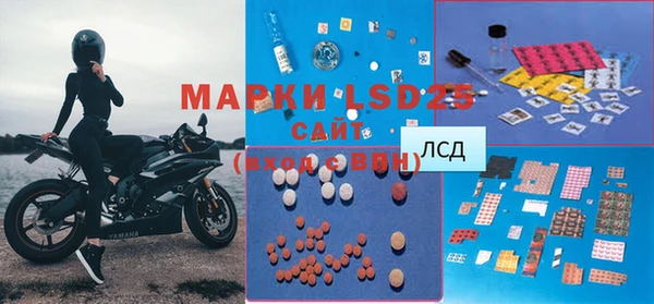 стафф Богданович