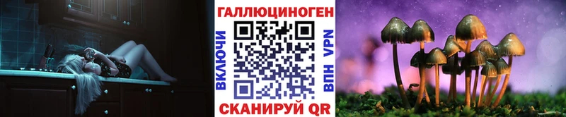 Купить где  Зверево  Псилоцибиновые грибы Psilocybe 